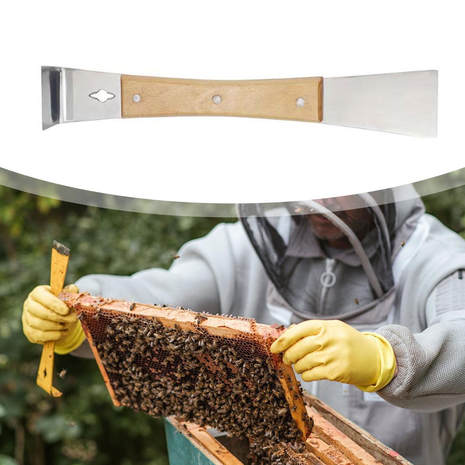 أداة كشط النحل المتينة من الفو - مراجعة Workshop Tools Knife وسعره